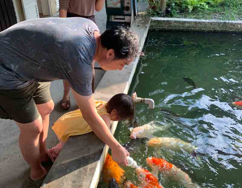 粉紅城堡民宿的民宿照片